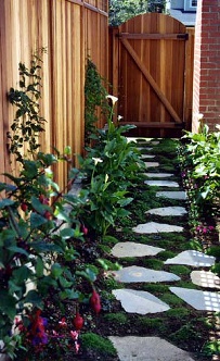 Shady Side Yard Design